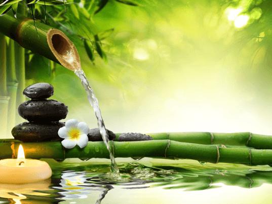 Nơi phù hợp nhất cho việc đặt nguồn nước là gần với lối ra vào